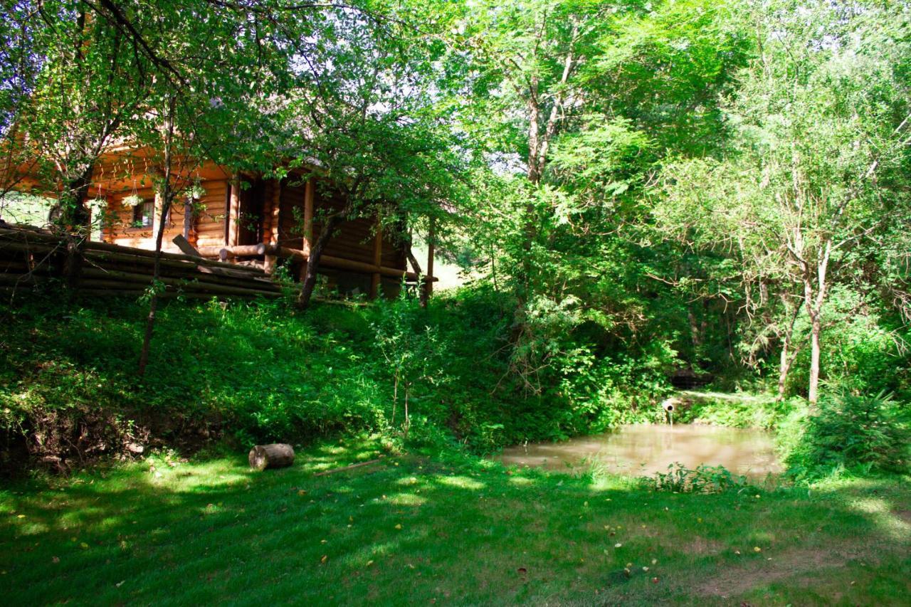 Тихий Куточок Villa Izki Dış mekan fotoğraf