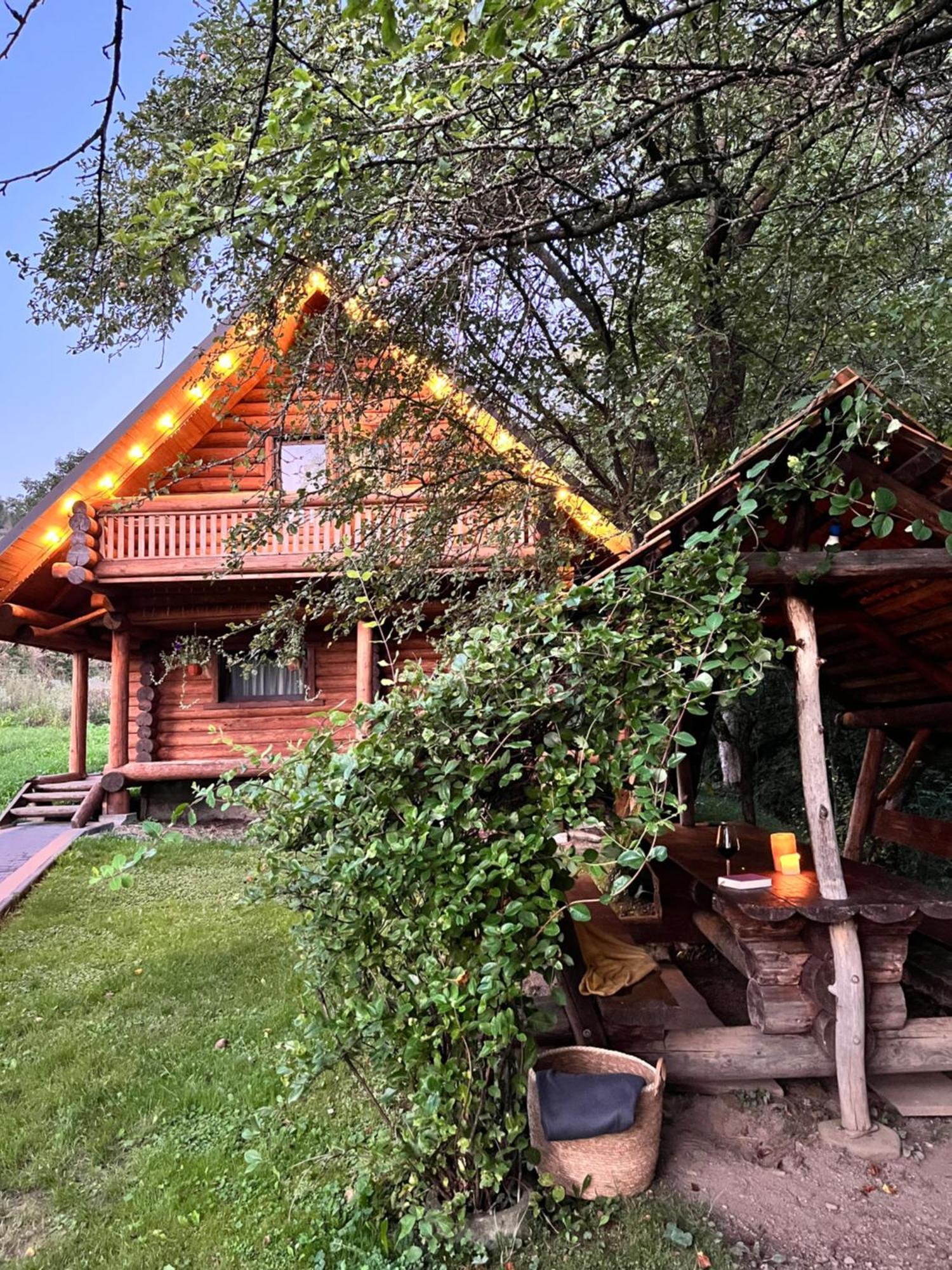Тихий Куточок Villa Izki Dış mekan fotoğraf