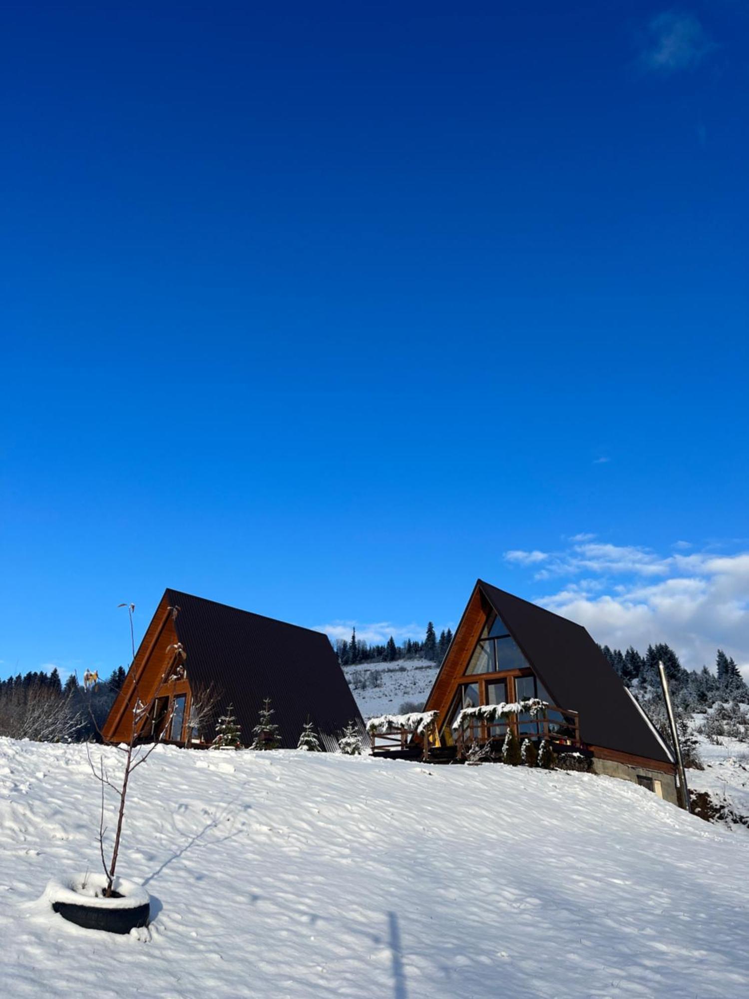Тихий Куточок Villa Izki Dış mekan fotoğraf